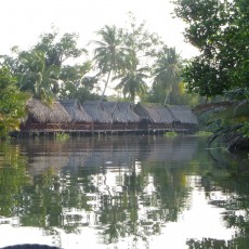 Delta du Mekong (1/2) : découverte du marché flottant, canaux et la région avec Hoang Son