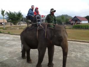 Laurent et Steffi à dos d'éléphant
