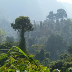 Phong Nha entre grottes et jungle