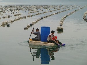 Jeunes sur une barque de polystyrène près des lignes d'élevage de crustacés