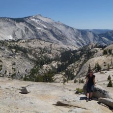 Du vert, de la roche et de l’air frais avec quelques grands parcs californiens comme Yosemite